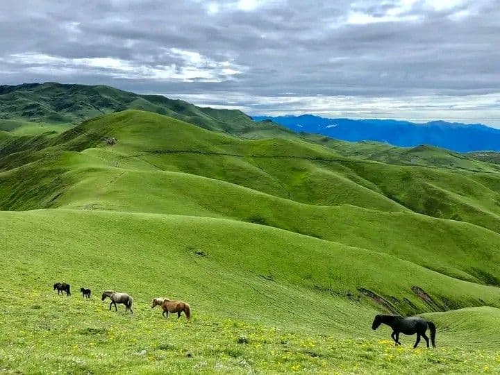 Baglung