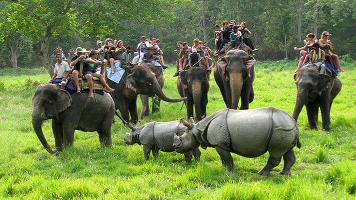 Chitwan Wildlife Safari