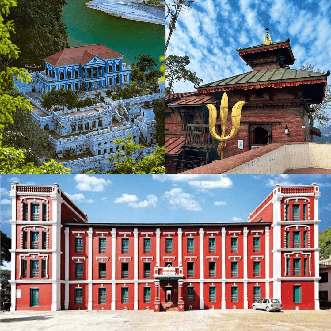 Palpa